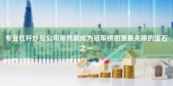 专业杠杆炒股公司居然就成为冠军拼图里最亮眼的宝石之一